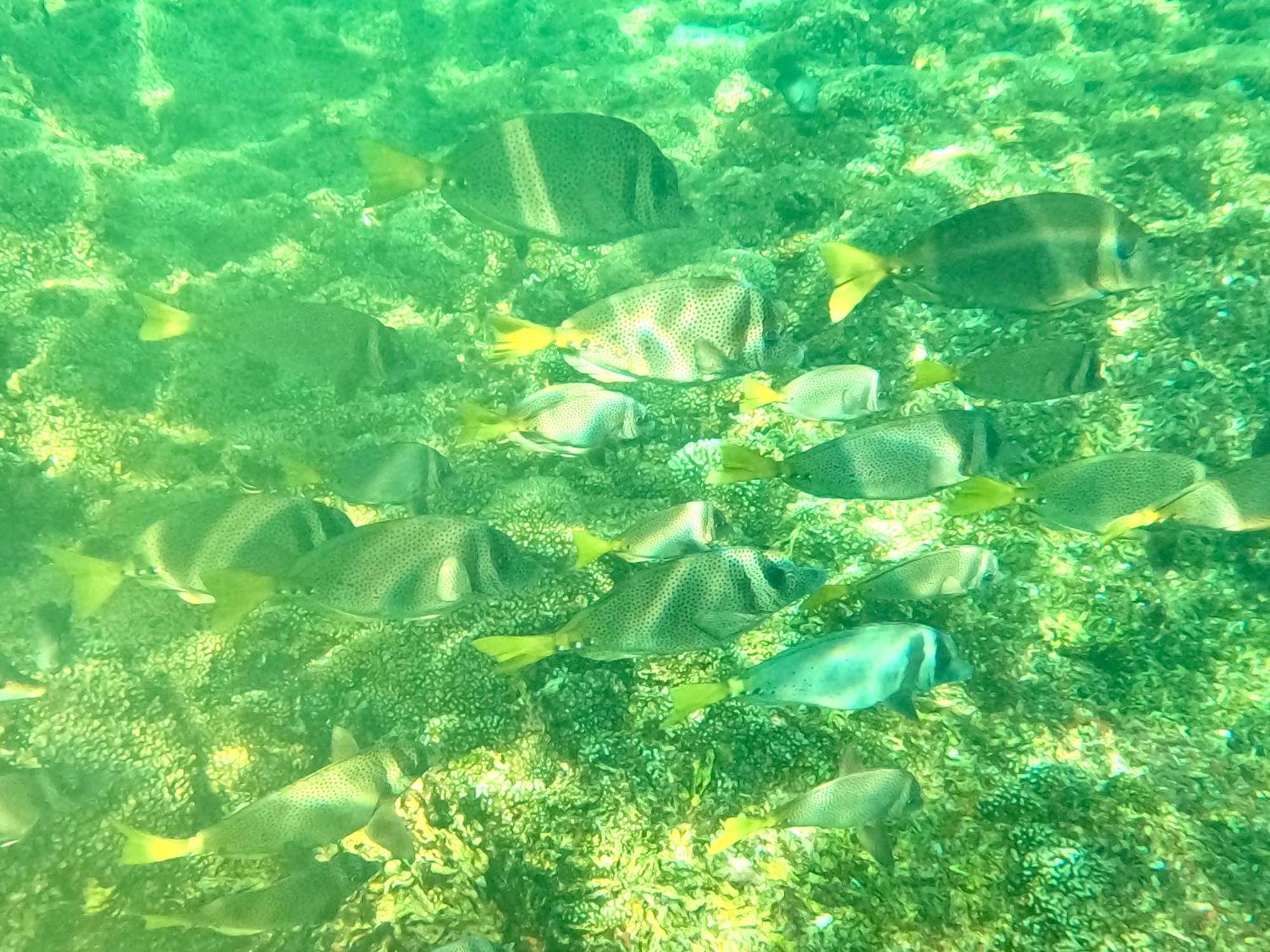 Agua Azul la Villa Santa Cruz Huatulco Esterno foto